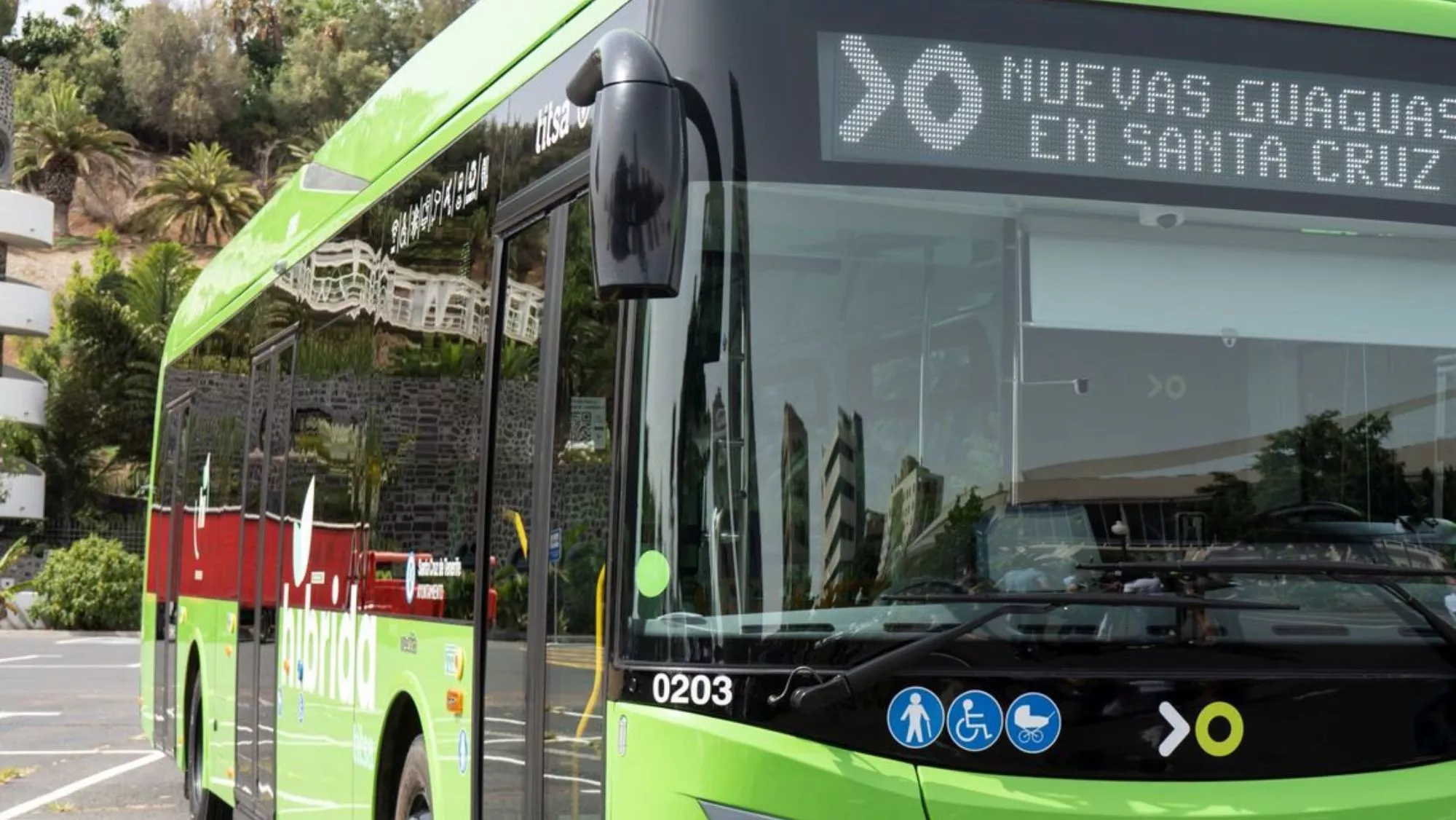 Guagua urbana de Santa Cruz de Tenerife, en Canarias / CEDIDA