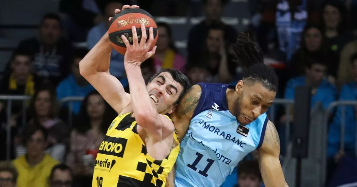 Con sus 23 puntos, Shermadini fue el máximo anotador del partido en la victoria del Canarias por 66-79 ante Morabanc Andorra./ EFE.