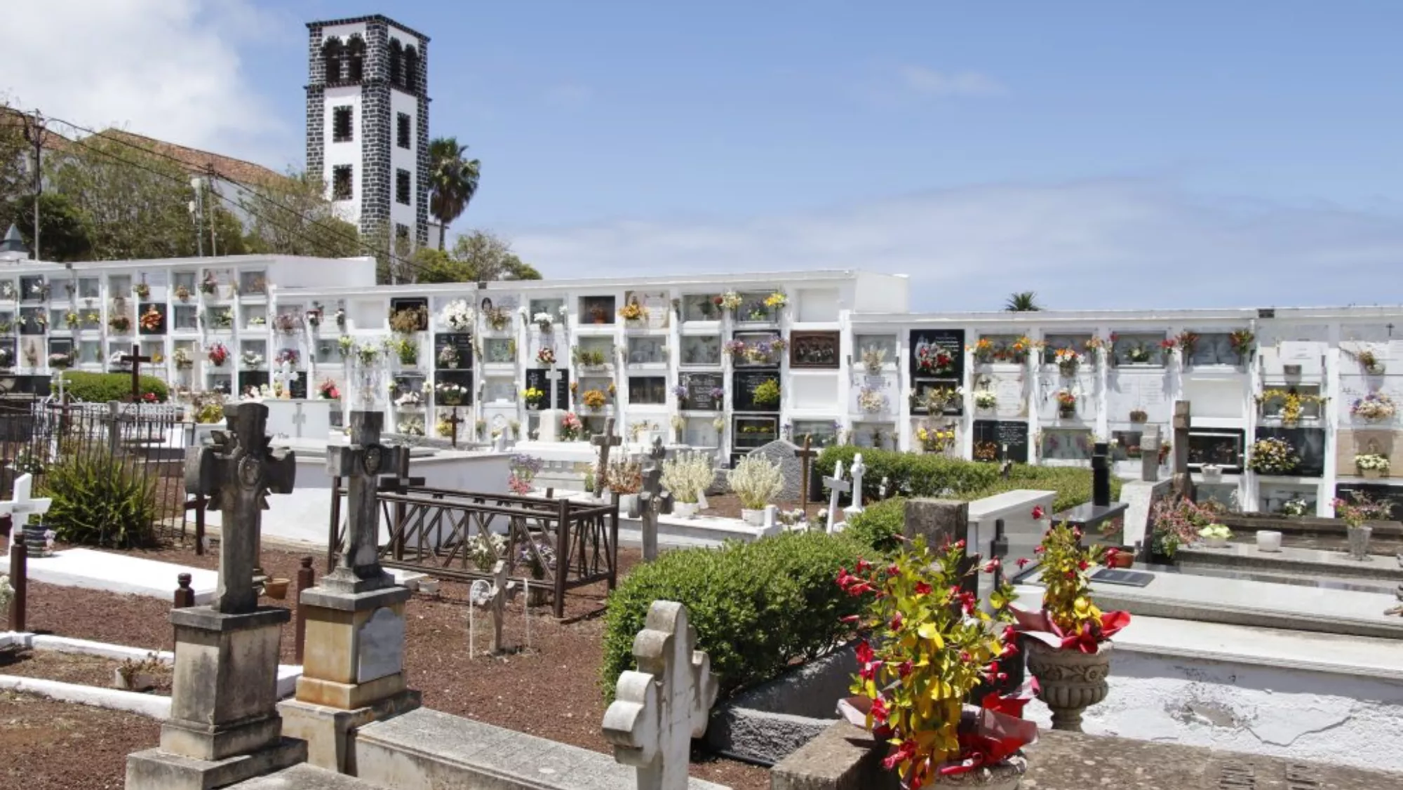 Cementerio de Tacoronte / AYUNTAMIENTO DE TACORONTE