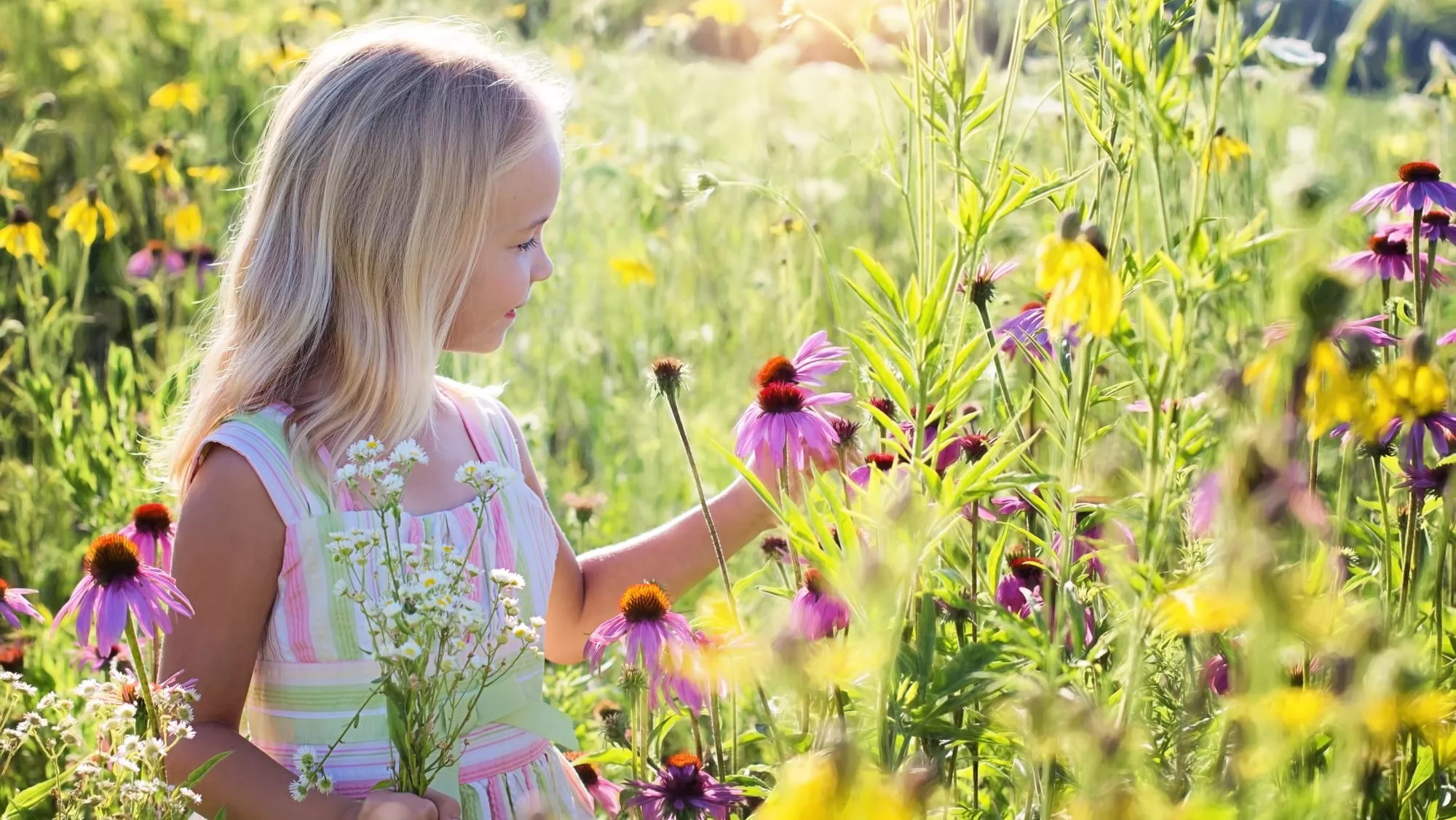 Aunque aún sea minoritario en el país, el nombre 'Michelle' está mucho más extendido en Canarias que en el resto de España.  / AH 