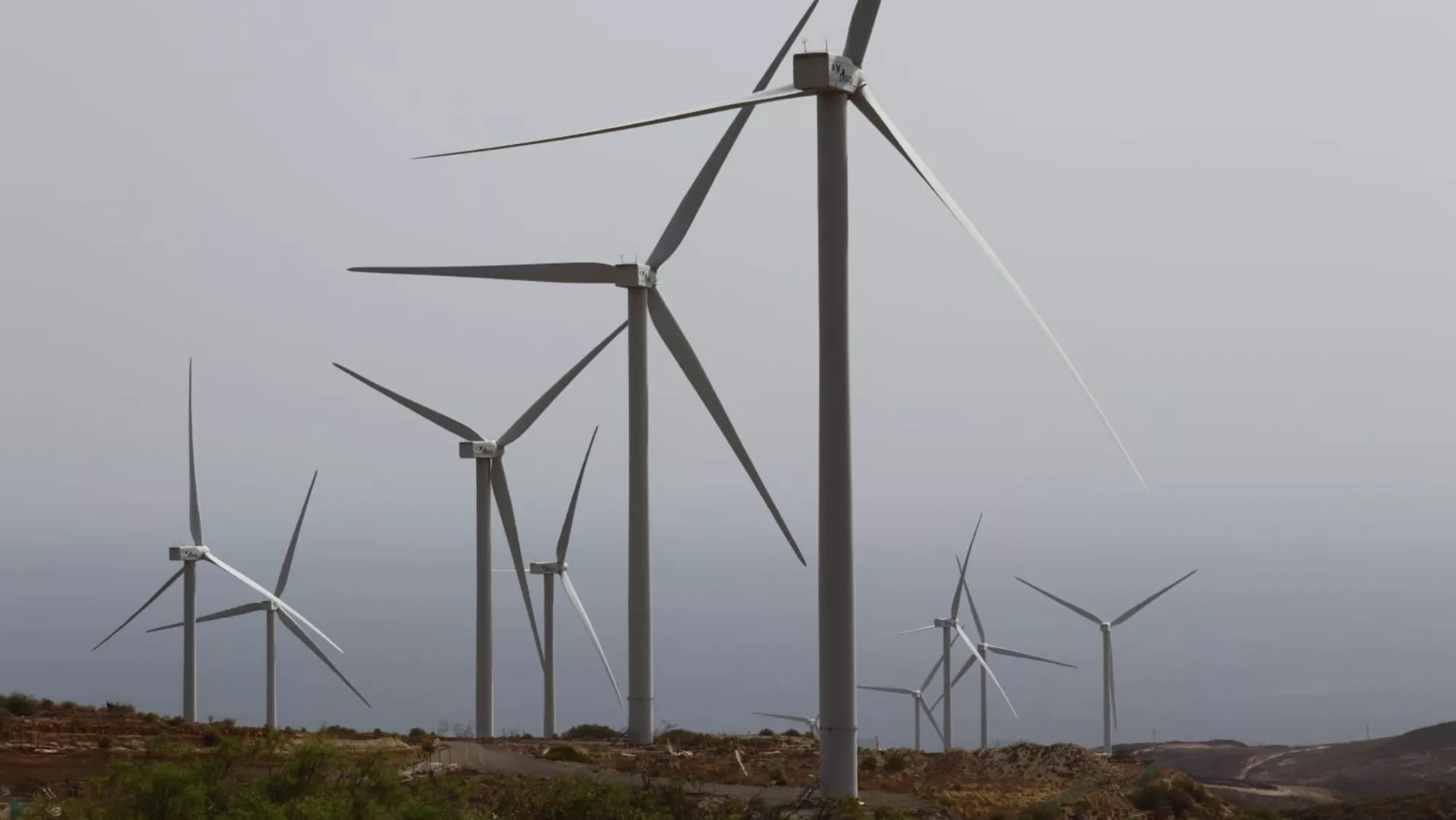 Parque eólico en el sur de Tenerife (Canarias). / AINOHA CRUZ-AH