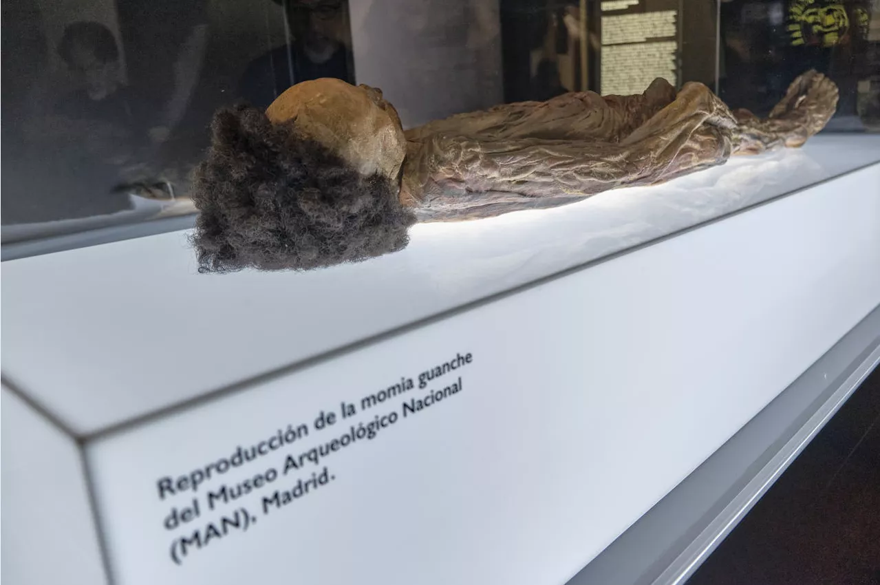 Momia de Erques. / CEDIDA