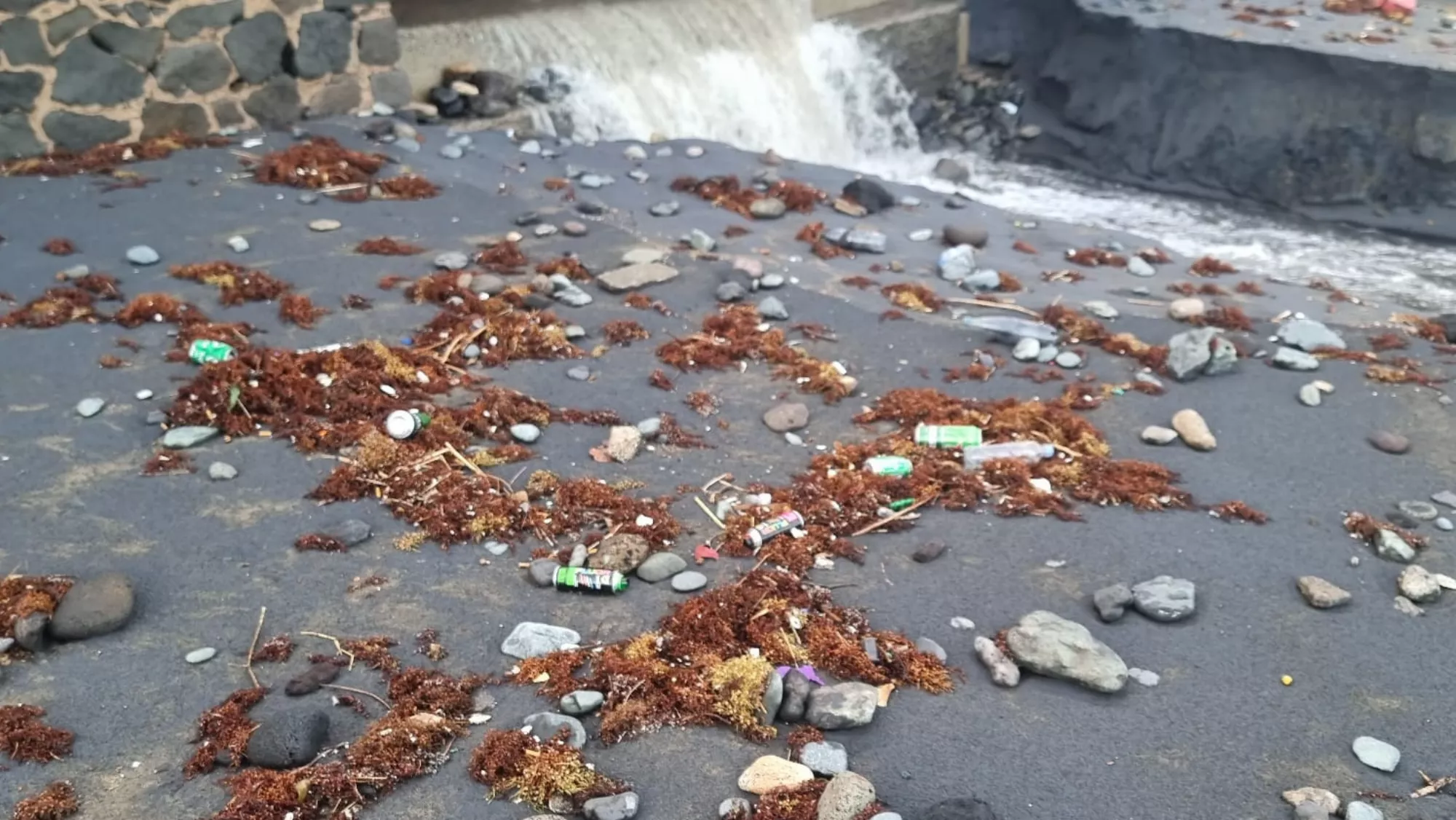 Video de suciedad en la playa de Las Canteras / TINO ARMAS - MI PLAYA DE LAS CANTERAS