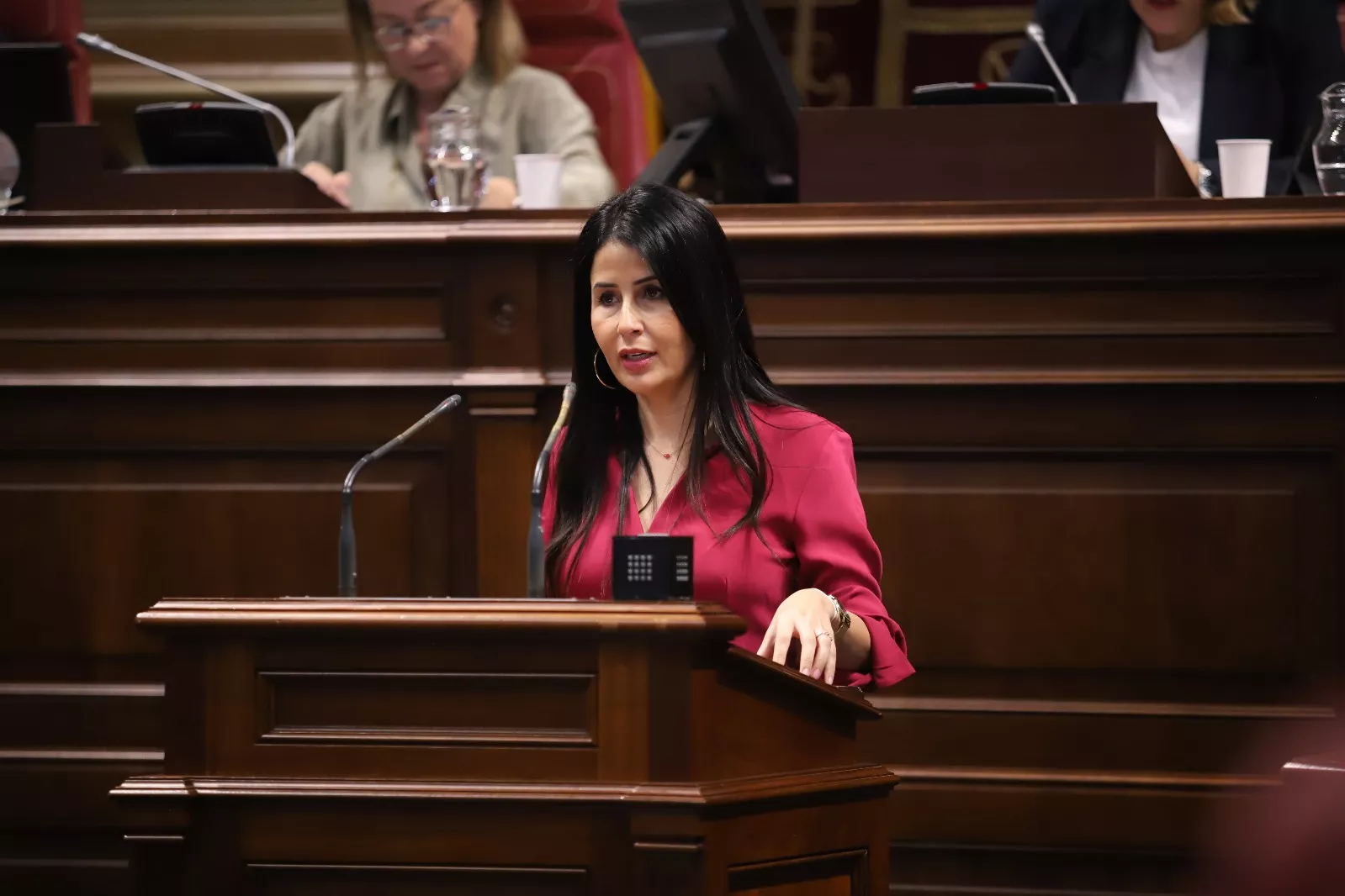 La presidenta del Grupo Parlamentario Agrupación Socialista Gomera (ASG), Melodie Mendoza./
