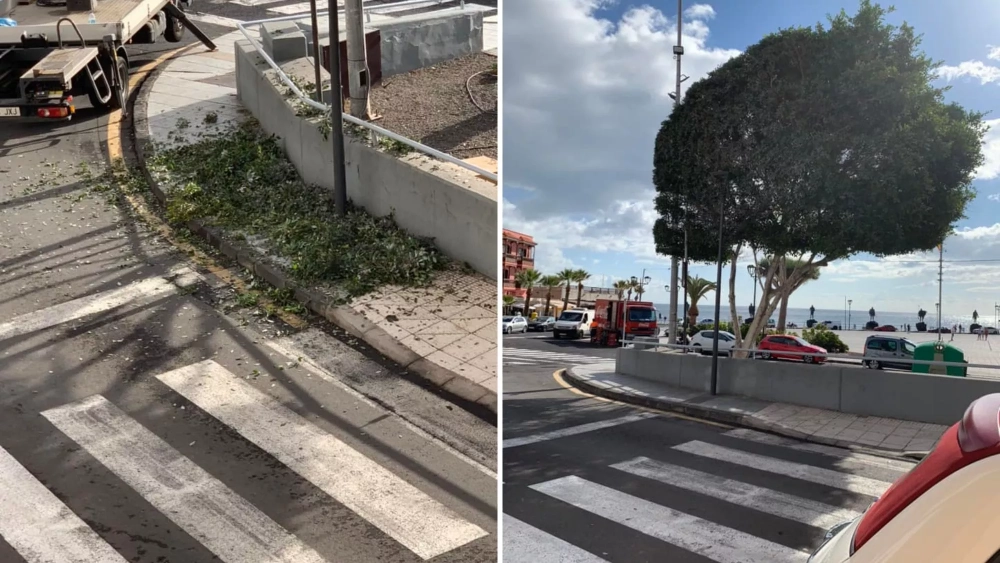 Restos del recorte del follaje del árbol y cómo ha quedado el mismo, donde se aprecia que solo se ha 'podado' una parte, la que obstruía la iluminación al paso de peatones / AH
