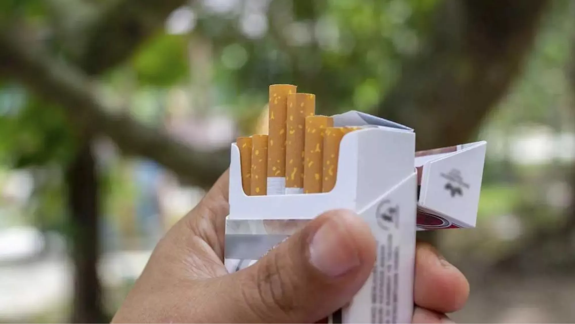 Un paquete de tabaco industrial / PEXELS