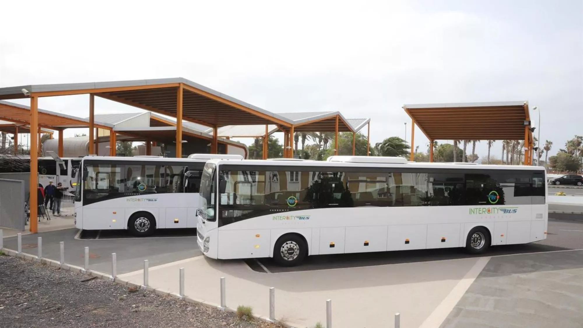 Guaguas en Lanzarote./ ARCHIVO