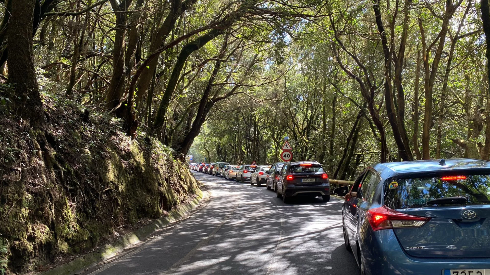 Imagen de la cola / ATLÁNTICO HOY