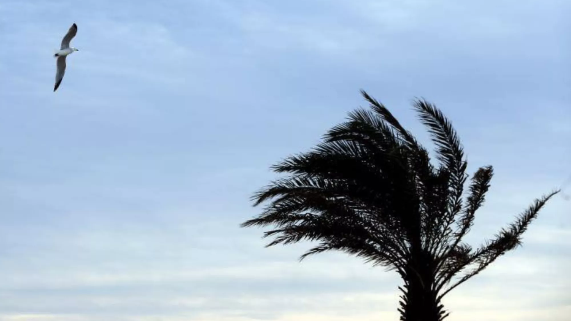 Viento en Canarias / EFE