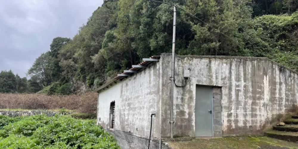 Vivero de El Cedro./ CABILDO DE LA GOMERA