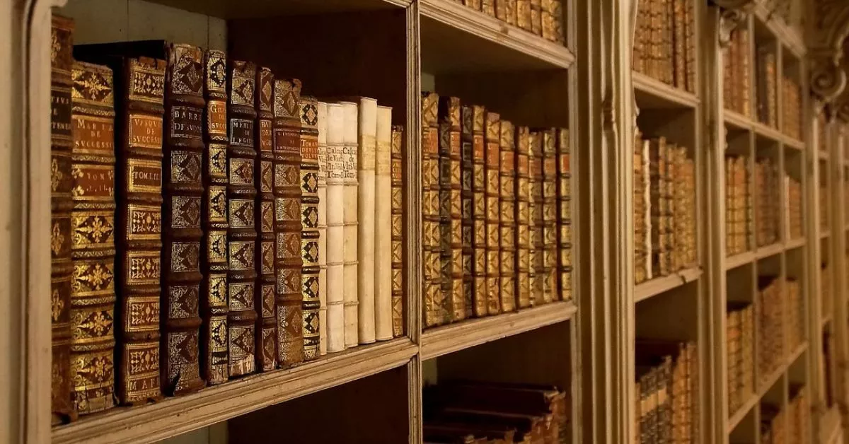 Muchos lectores siguen prefiriendo el libro impreso frente al digital por lo que algunas librerías resisten a la competencia digital./ Pixabay.