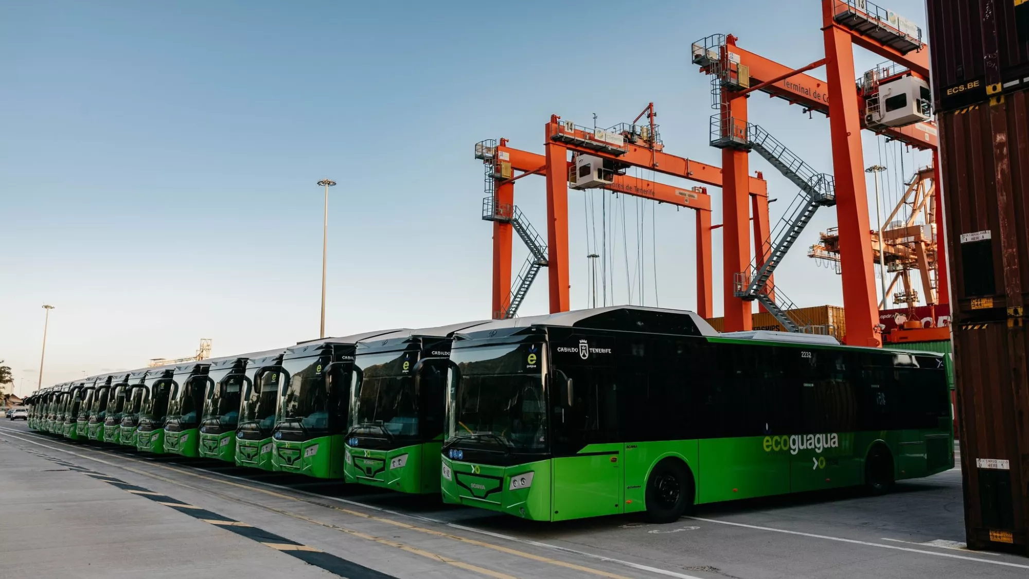 Parte de la flota de Titsa / CABILDO DE TENERIFE