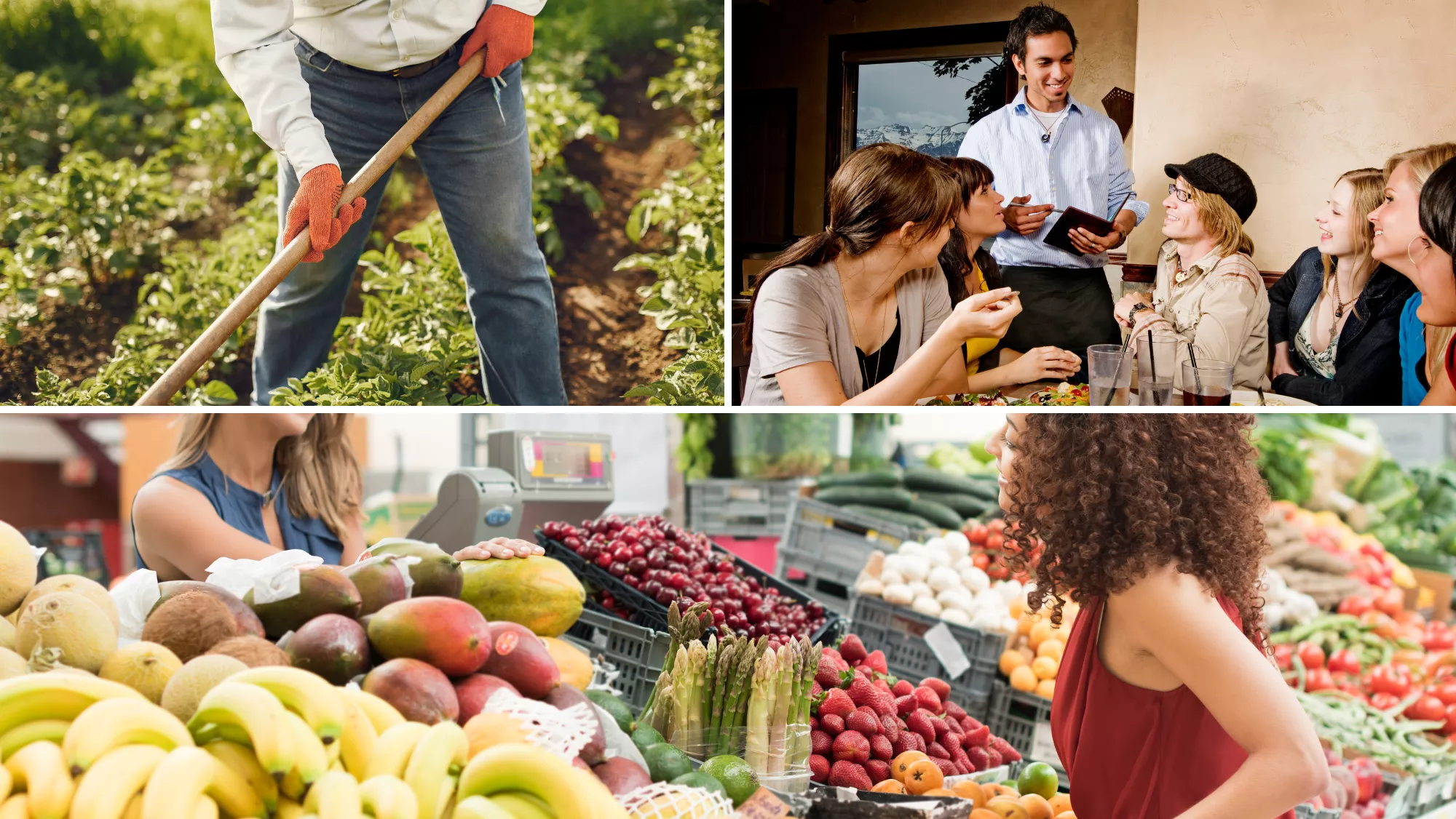 Los sectores que más suben son la agricultura, la hostelería y el comercio / AH