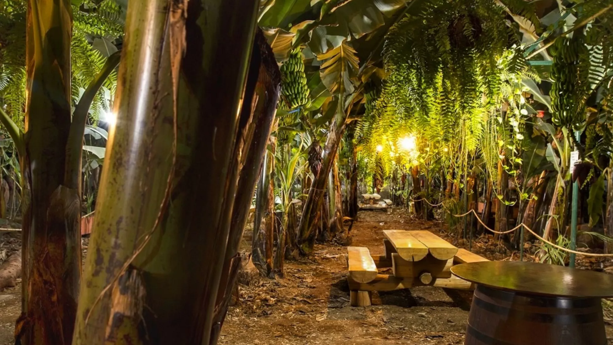 Imagen del Restaurante El Cordero, en Tenerife / RESTAURANTE EL CORDERO