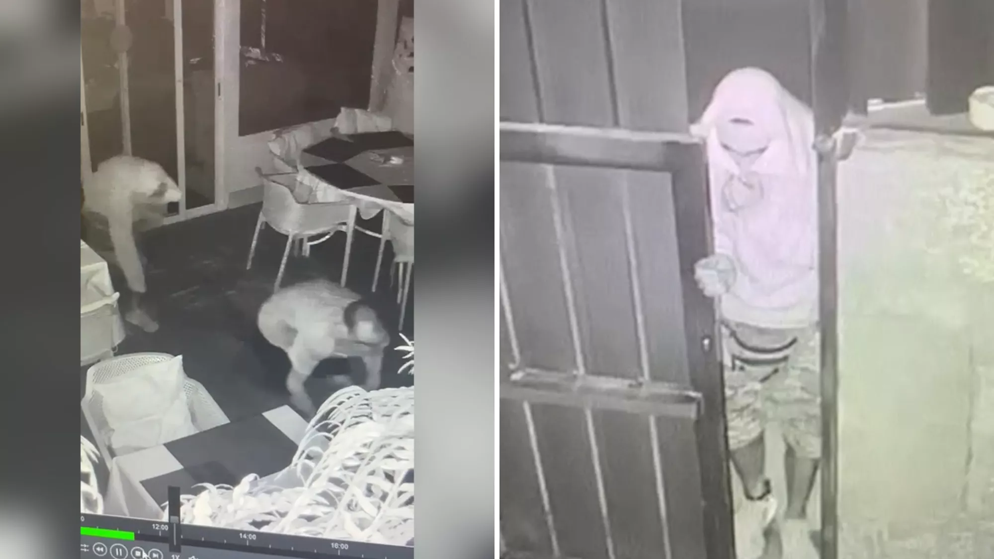 Cámaras de viodeovigilancia captando momentos del robo / GUARDIA CIVIL