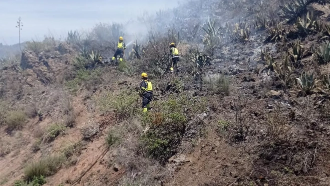 Bomberos extinguiendo el incendio en la cumbre de Tejeda. / CEDIDA