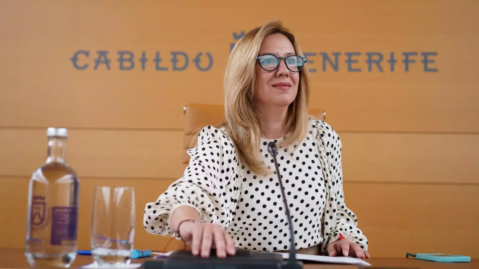 Rosa Dávila, presidenta del Cabildo de Tenerife / EFE