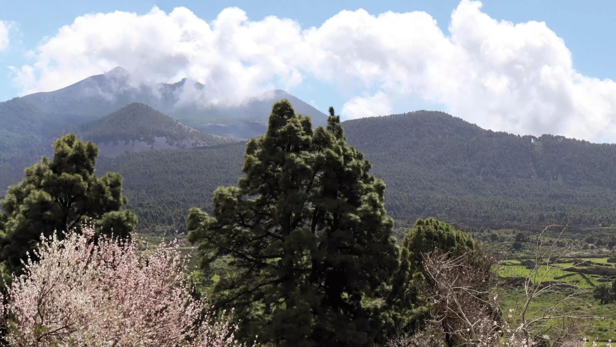 Naturaleza de La Palma./ CEDIDA