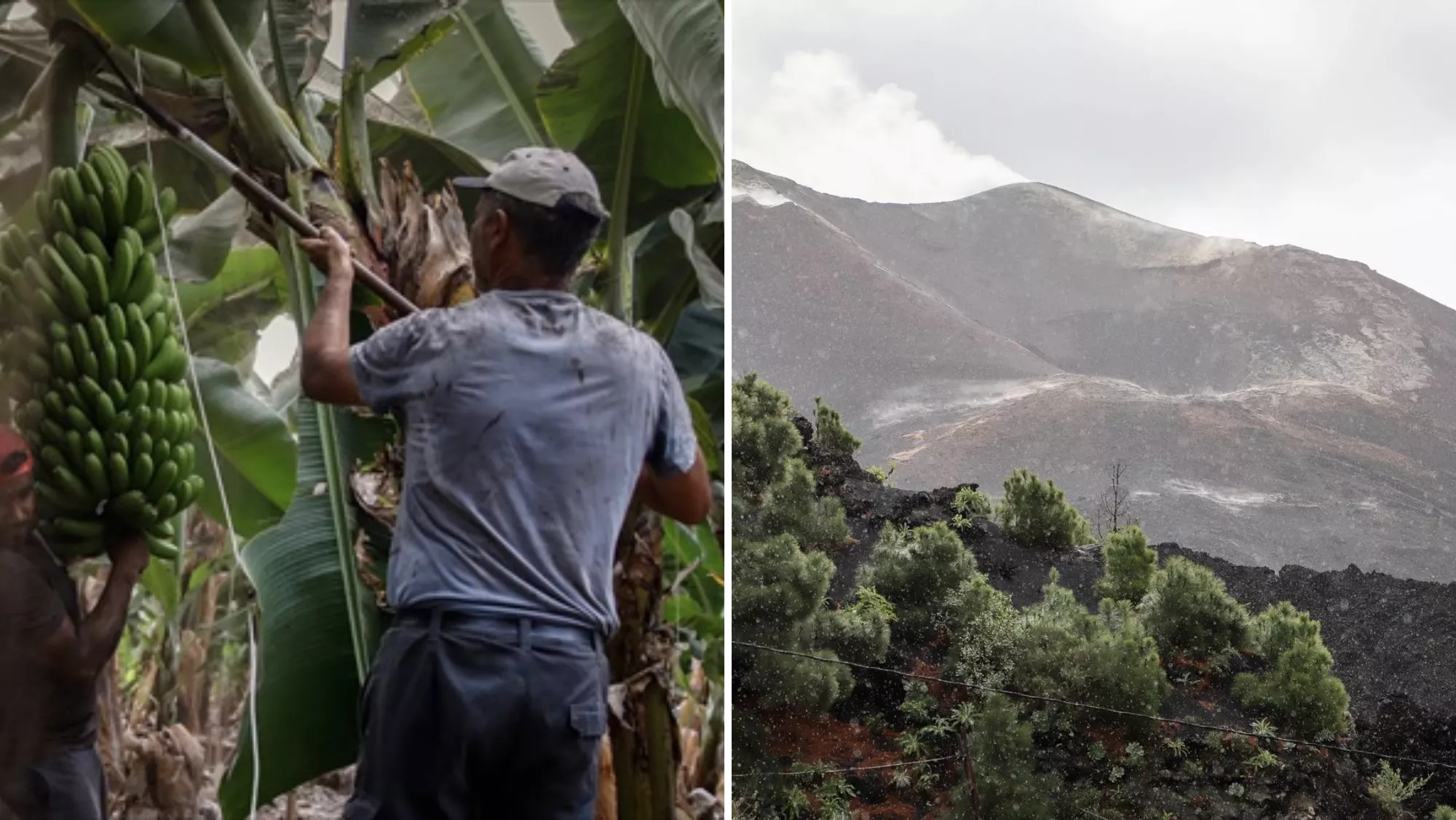 Agricultor de La Palma y el volcán / MONTAJE AH - EFE
