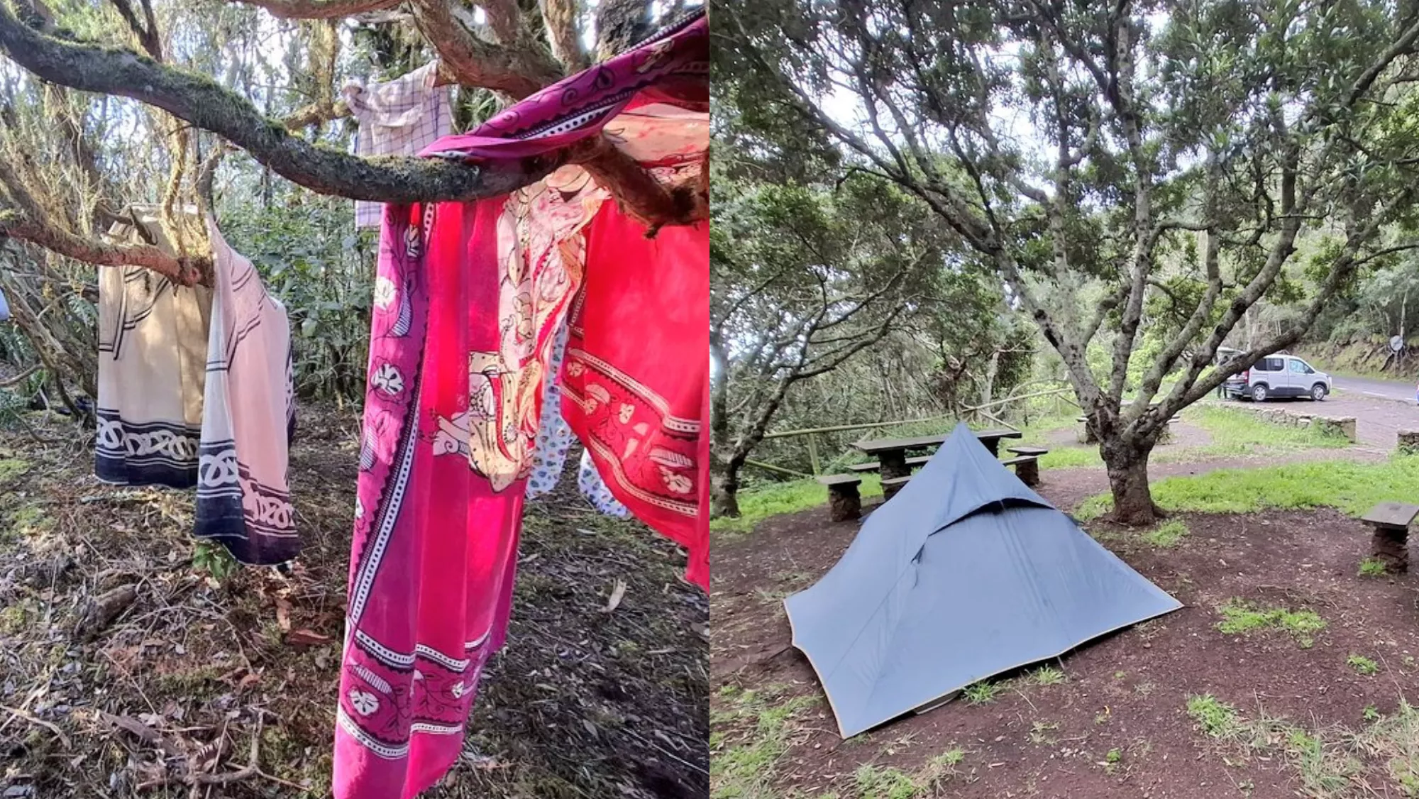 Acampadas en Anaga en menos de dos semanas. / POLICÍA LOCAL DE SANTA CRUZ DE TENERIFE