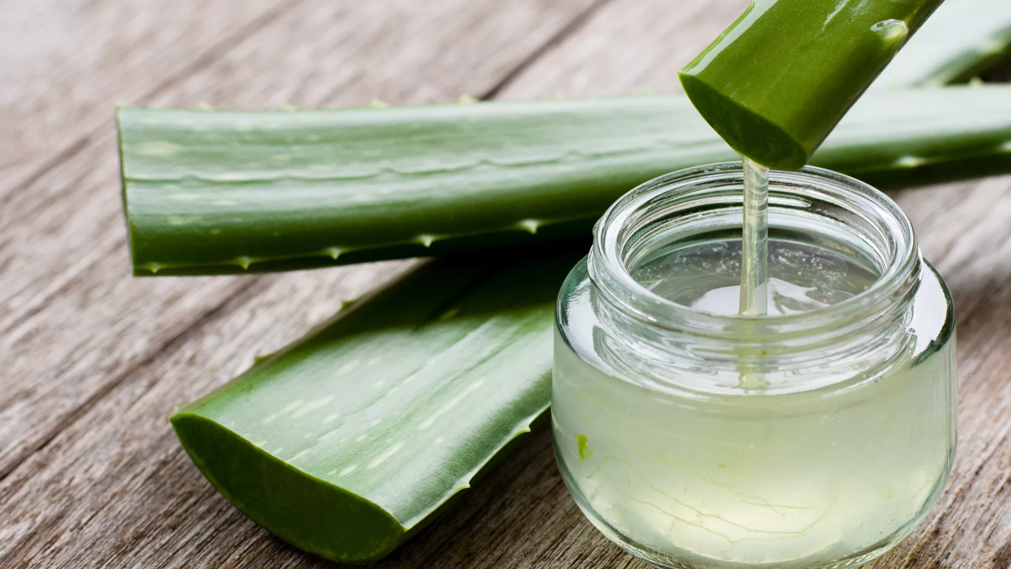 Imagen del aloe vera, uno de los productos importados / AH