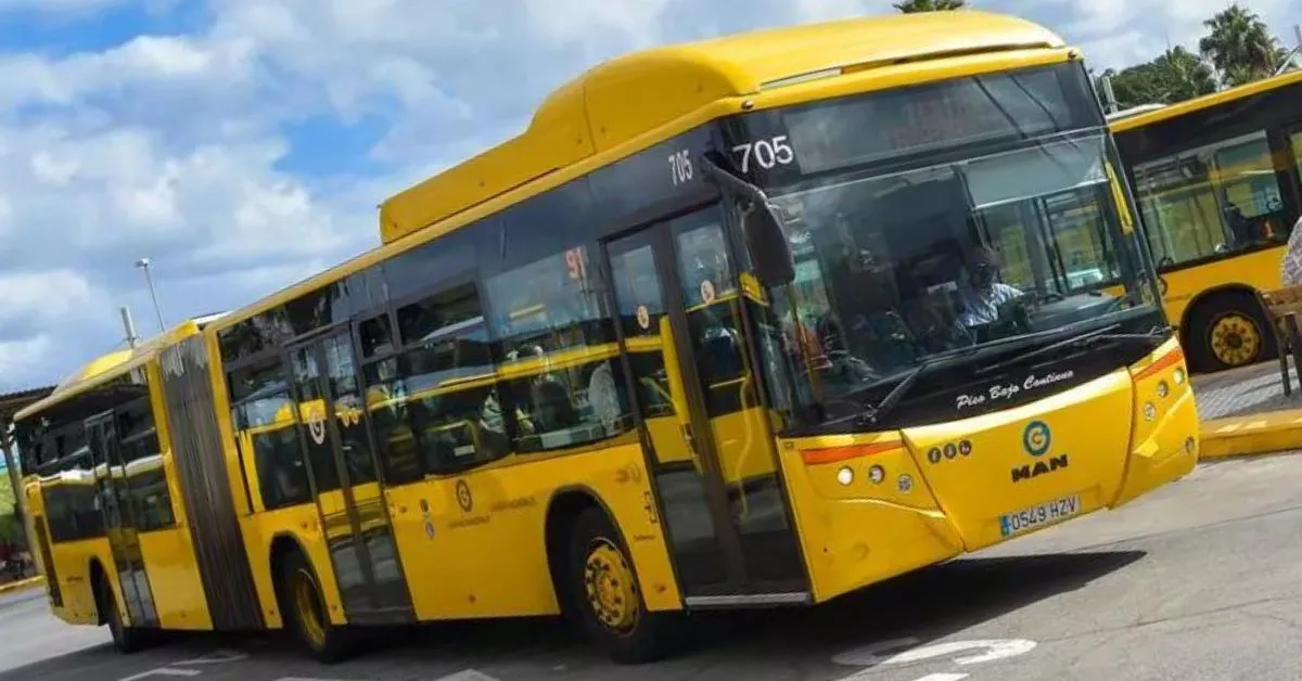 Con una longitud de 21 metros, las diez vehículos incorporados por Guaguas Municipales son los más largos de Europa de una sola articulación./  GUAGUAS MUNICIPALES.