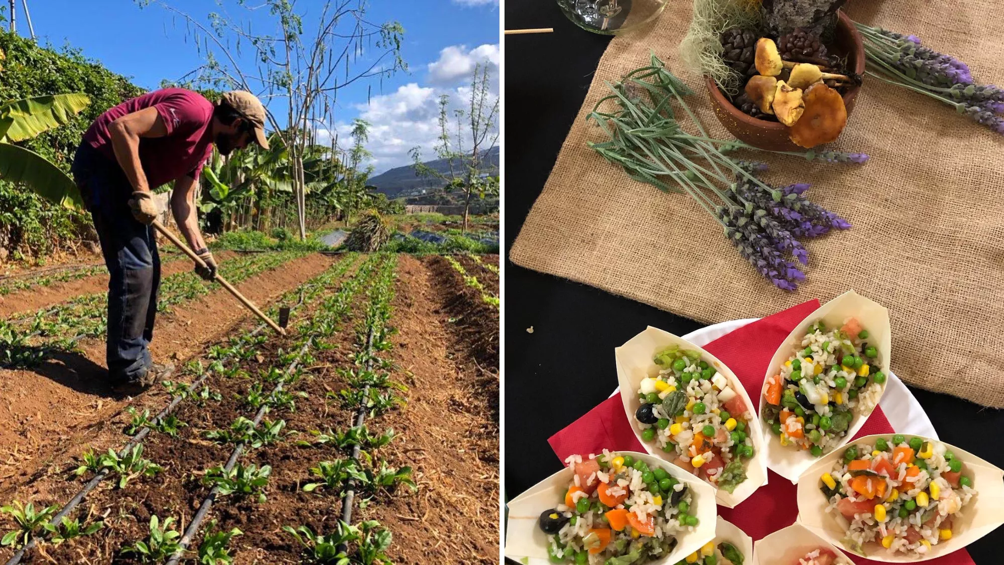 Un trabajador de la empresa y una ecocaja con sus productos / BUSCÁNDOME LAS HABICHUELAS