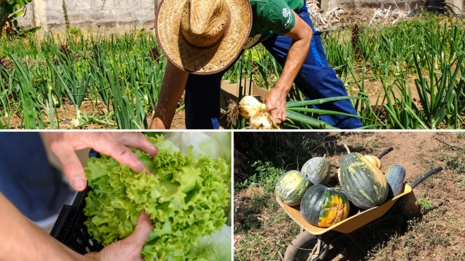 Trabajadores y productos de la compañía / BUSCÁNDOME LAS HABICHUELAS 