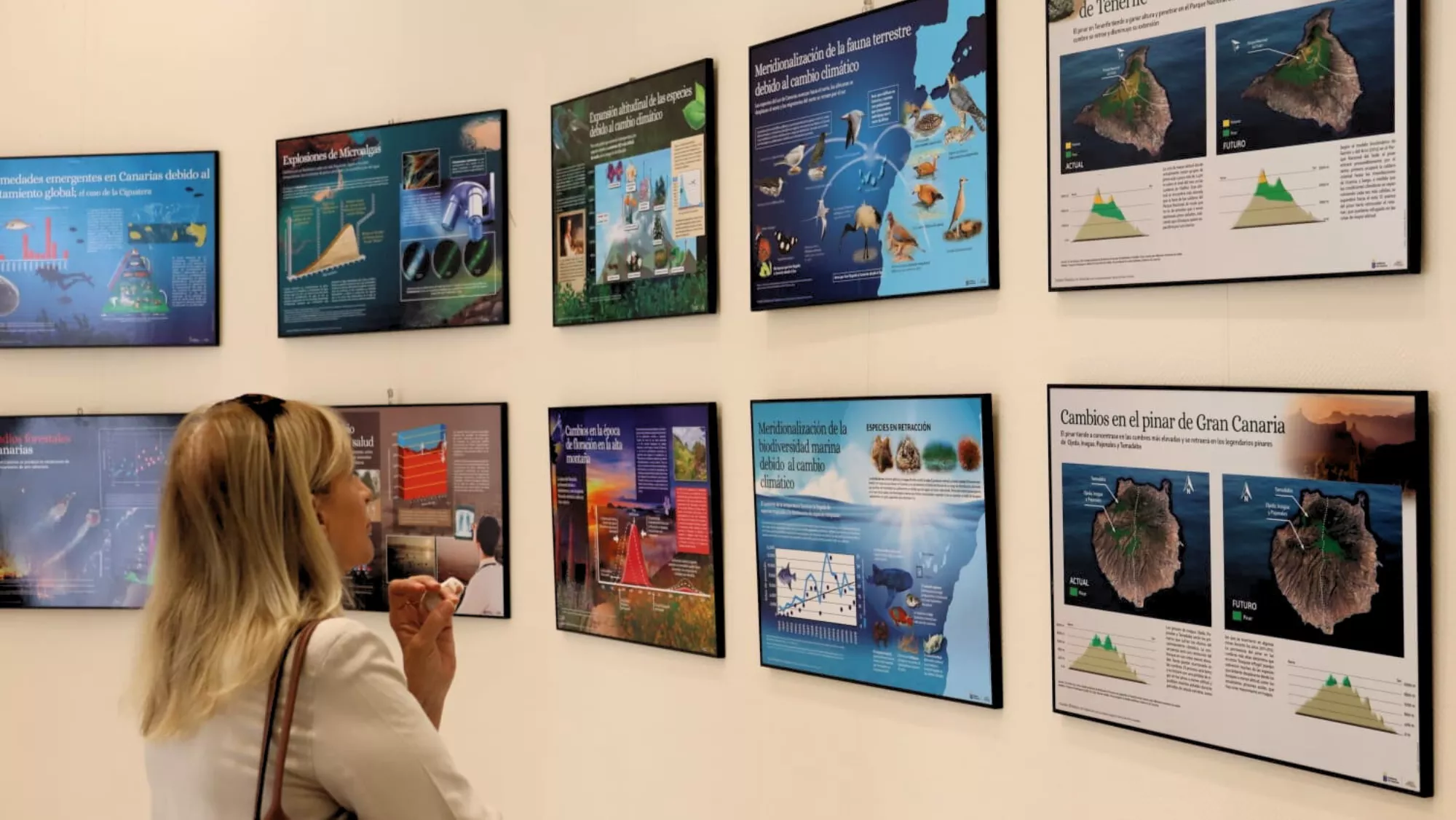 Una mujer observa los paneles de la exposición en el Parlamento de Canarias. / AINOHA CRUZ-AH