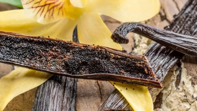 vainilla negra vainilla negra