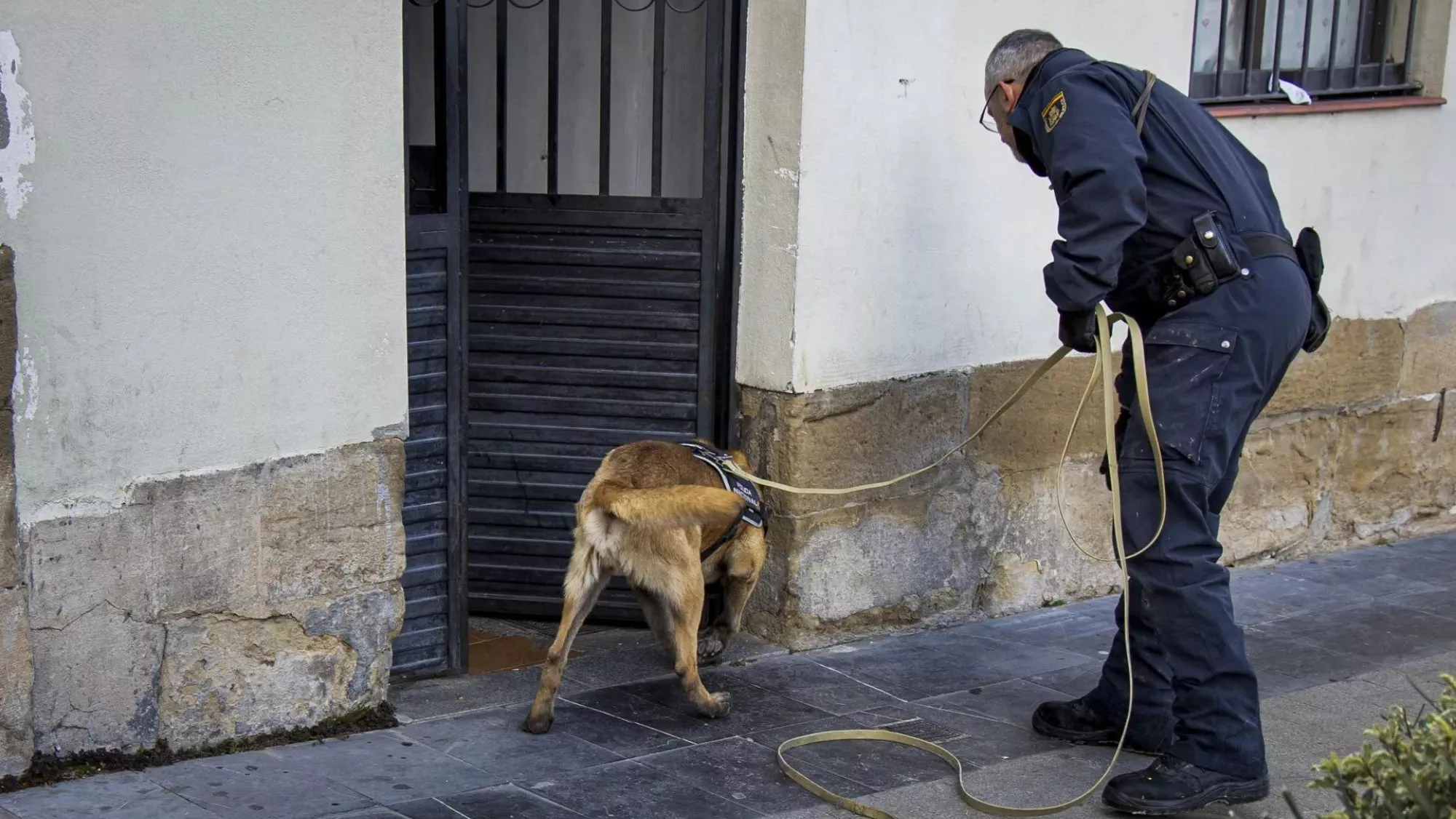 Un policía nacional usa un perro antidroga / EFE - RAQUEL MANZANARES