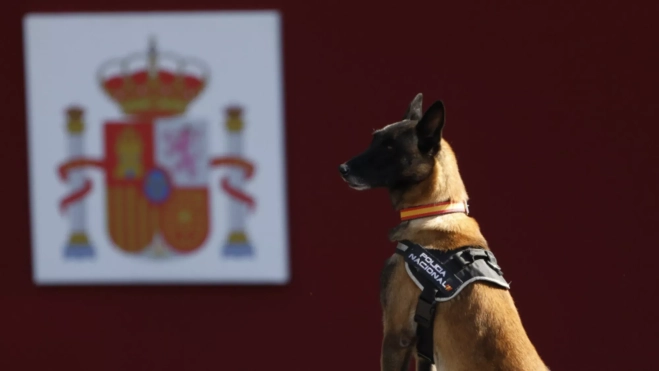 Un perro policía / EFE - DANIEL GONZÁLEZ