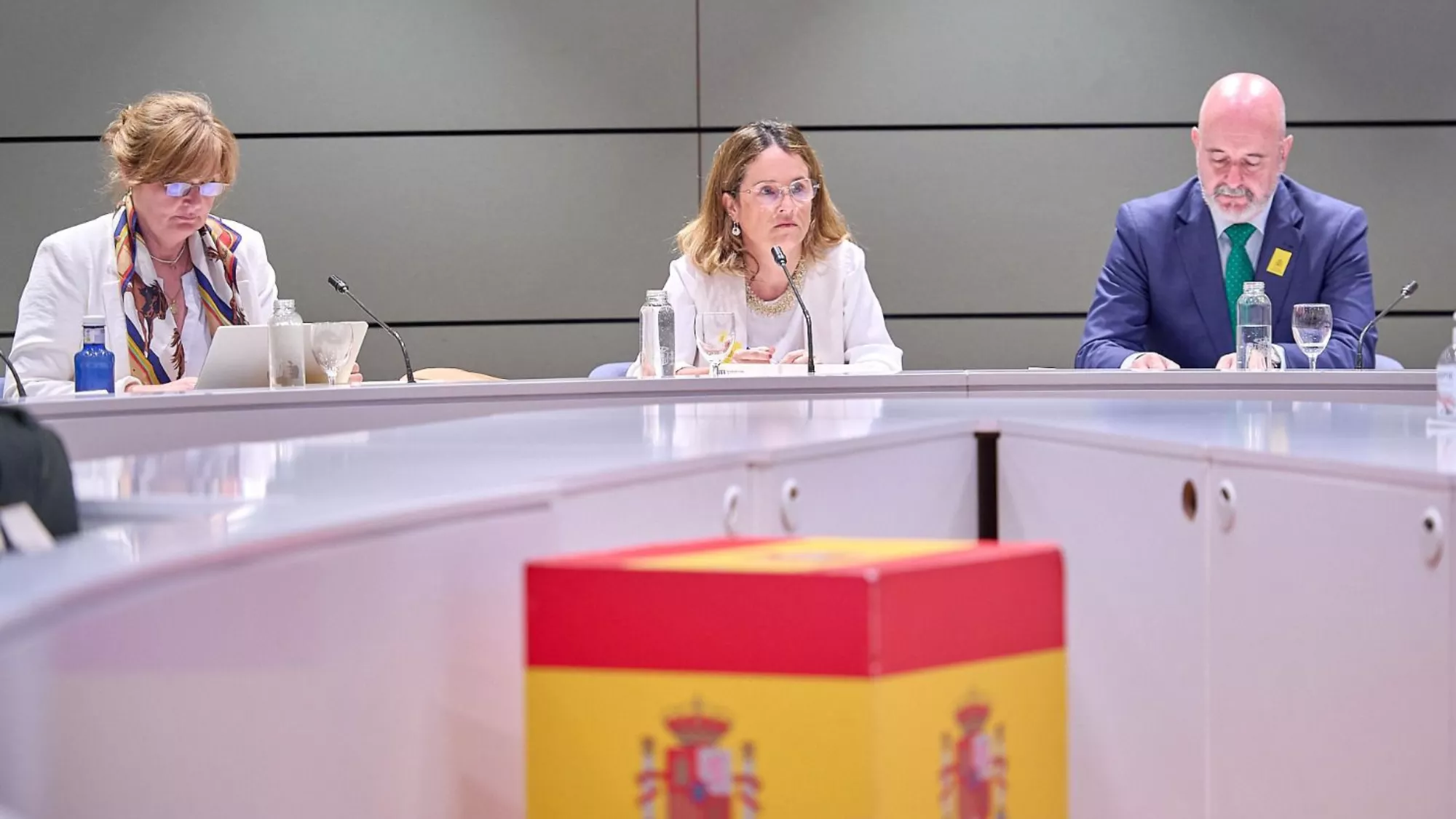 Elena Zarate durante la Comisión Sectorial de Reto Demográfico / GOBIERNO DE CANARIAS