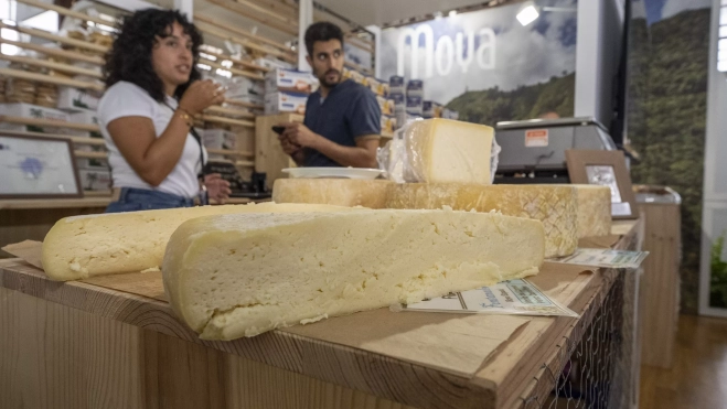 Detalle de un queso expuesto en Gran Canaria Me Gusta. / DAVID DELFOUR-CABILDO DE GRAN CANARIA
