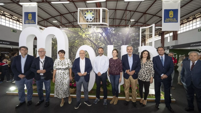  / DAVID DELFOUR-CABILDO DE GRAN CANARIA