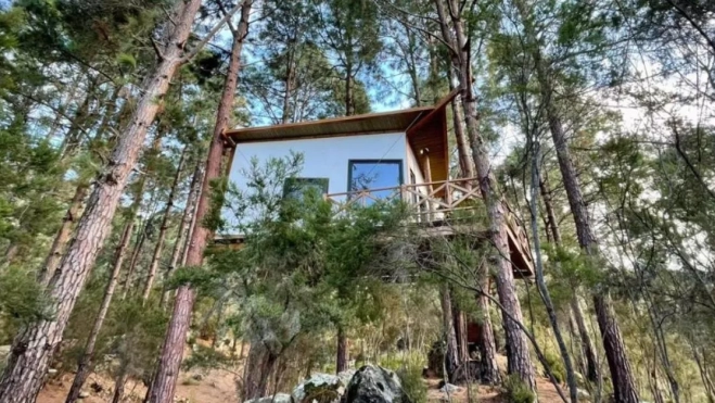 Can Lia es una de las casas más peculiares de Tenerife por su construcción en medio de un pinar como por la privilegiada ubicación natural en que se encuentra./ LA GUANCHA. Can Lia es una de las casas más peculiares de Tenerife por su construcción en medio de un pinar como por la privilegiada ubicación natural en que se encuentra./ LA GUANCHA.