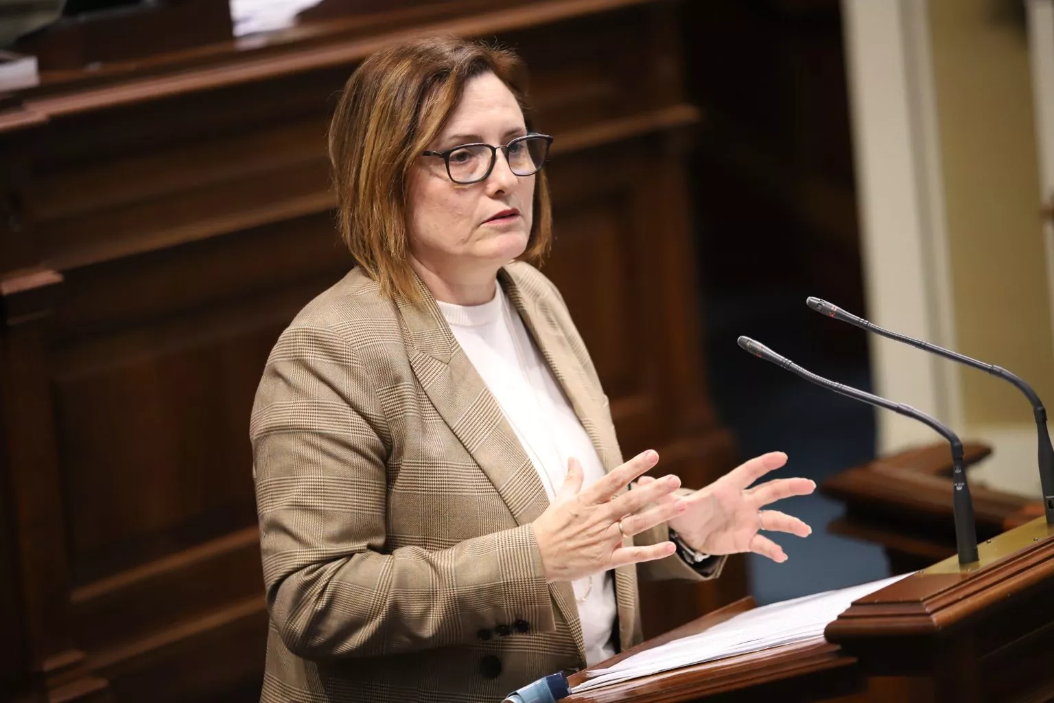 La consejera de Bienestar Social Candelaria Delgado. / GOBIERNO DE CANARIAS