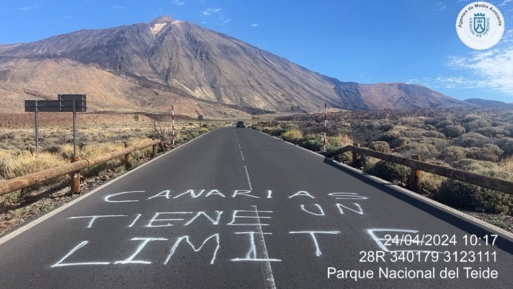 Pintada aparecida en la carretera del Parque Nacional del Teide. / TWITTER LOPE AFONSO