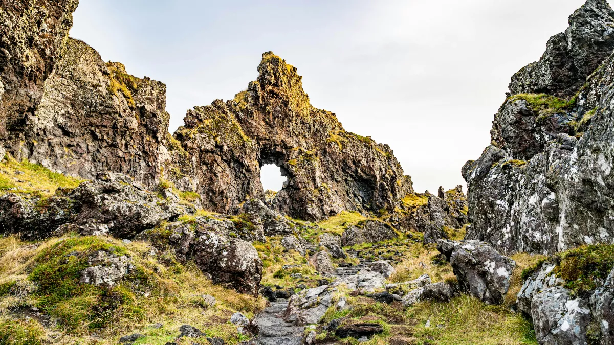 Fotografía de un sendero natural | PEXELS