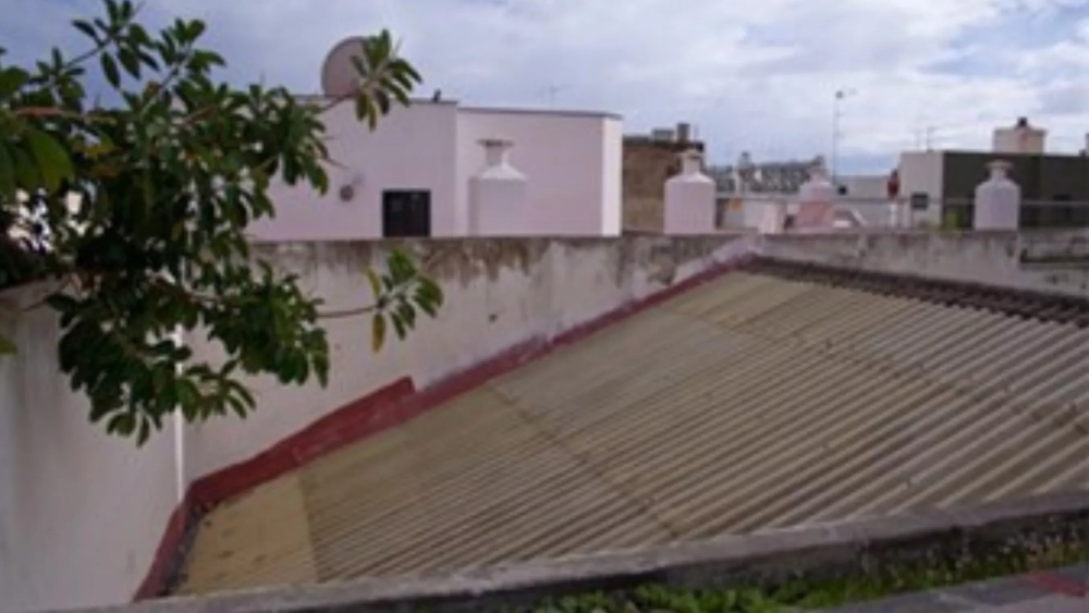 Cubierta de uralita en una de las salas del Edificio Casa Sindical de Santa Cruz de Tenerife./ COLEGIO DE ARQUITECTOS