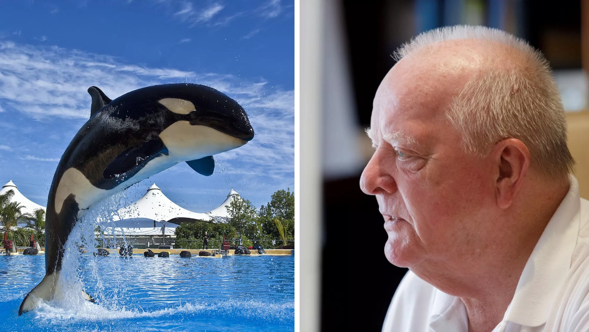 A la izquierda, una orca de Loro Parque; a la derecha, Wolfgang Kiessling / EFE