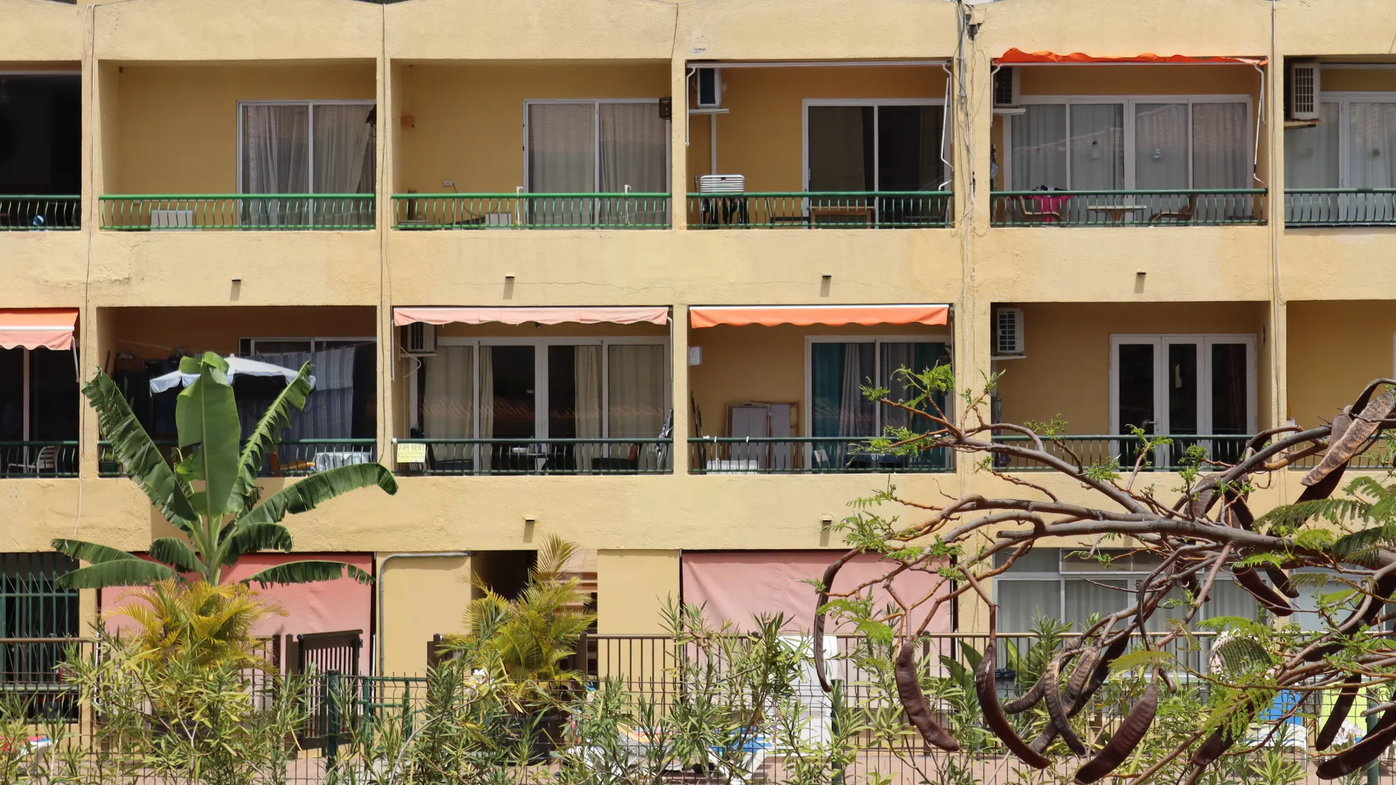 Plazas turísticas de un apartamento en Adeje, Tenerife, Canarias / ATLÁNTICO HOY - AINOHA CRUZ