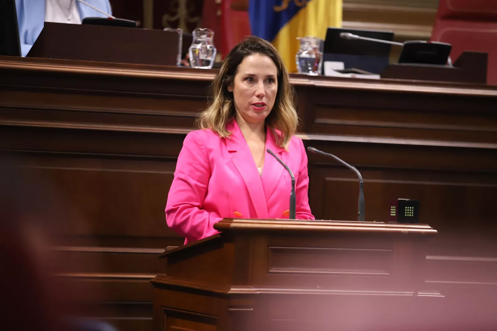 Patricia Hernández en el Parlamento de Canarias. / CEDIDA