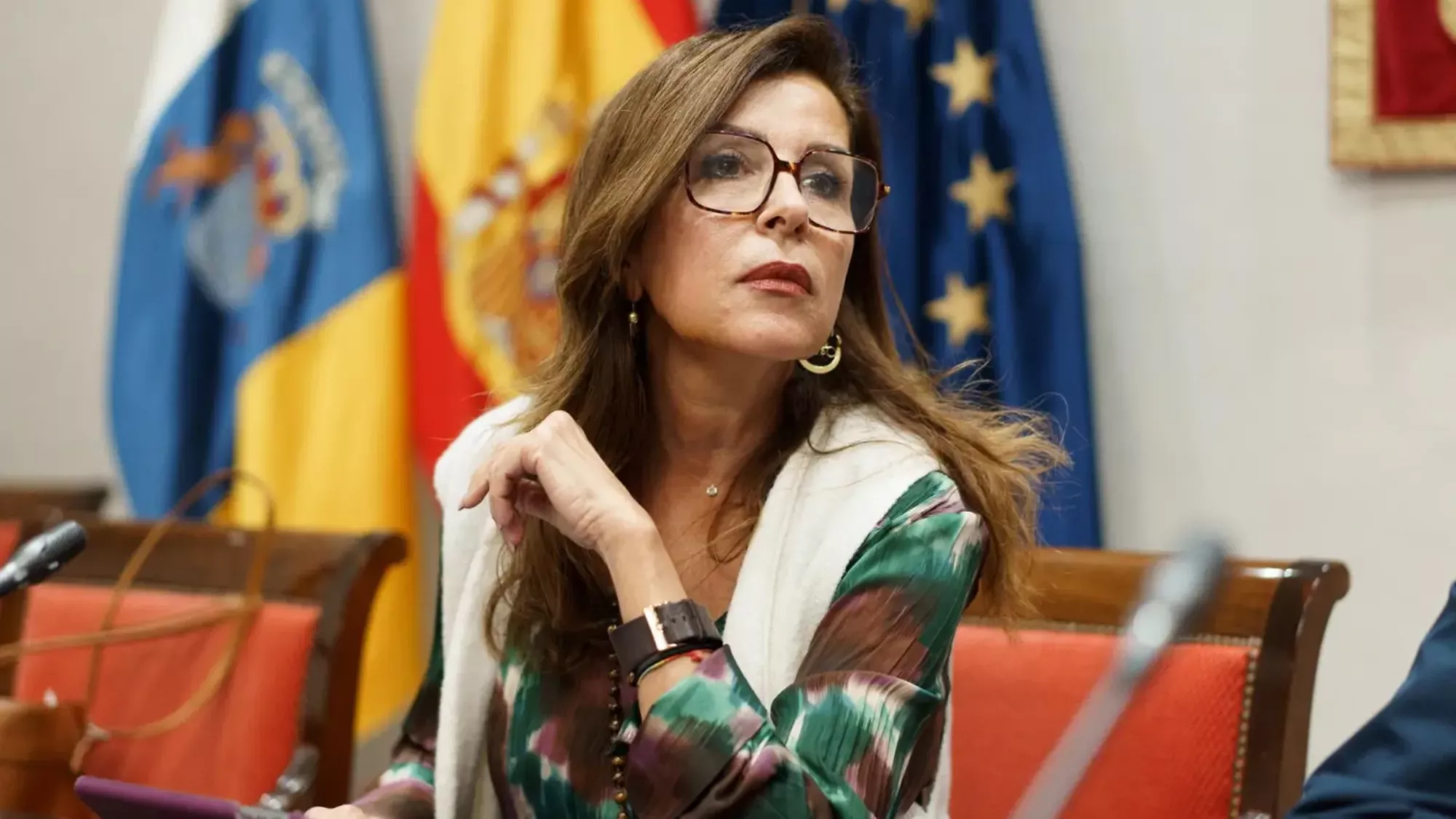 Dolores Padrón, Diputada del Común / EFE