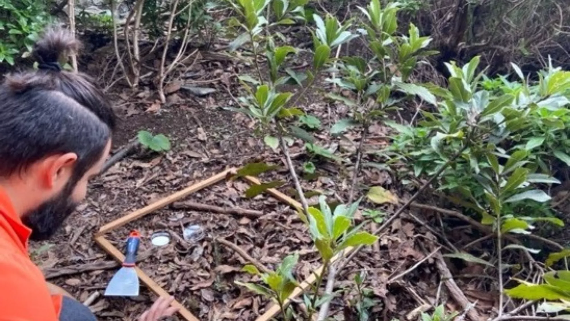 Detección de microplásticos en el Parque Rural de Anaga. / AYUNTAMIENTO DE S/C DE TENERIFE