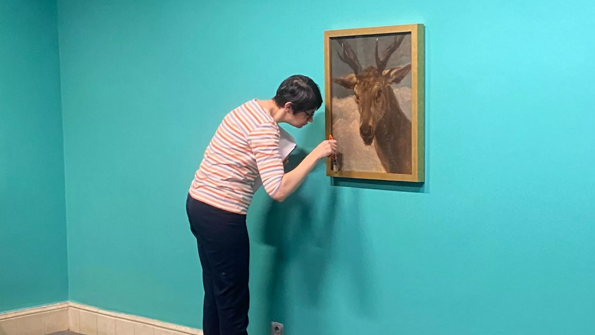 El cuadro 'Cabeza de Venado' en el Museo de Bellas Artes / AYUNTAMIENTO DE SANTA CRUZ DE TENERIFE