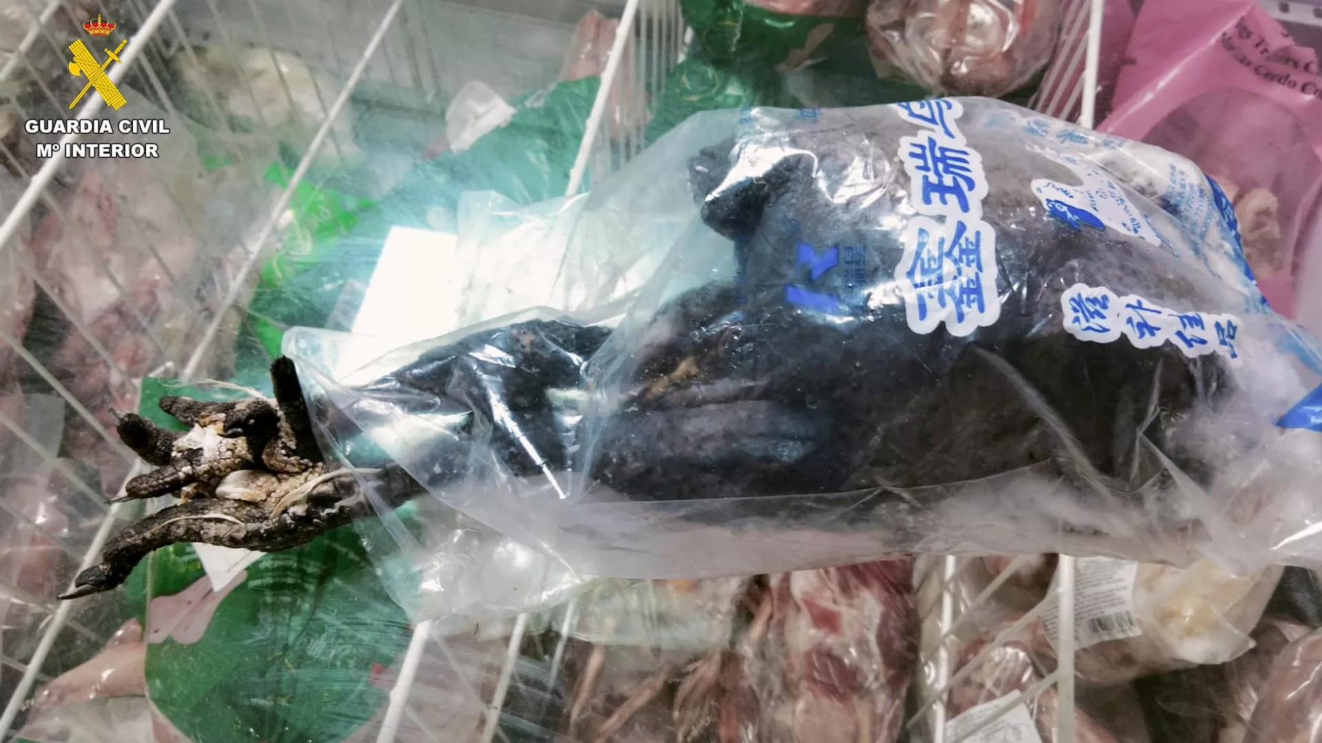 Productos en mal estado intervenidos en un comercio de Las Palmas de Gran Canaria. / GUARDIA CIVIL 