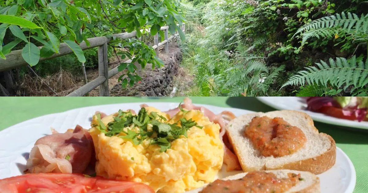 La combinación de caminata y brunch es uno de los mejores planes para esta primavera en Tenerife./ AH.