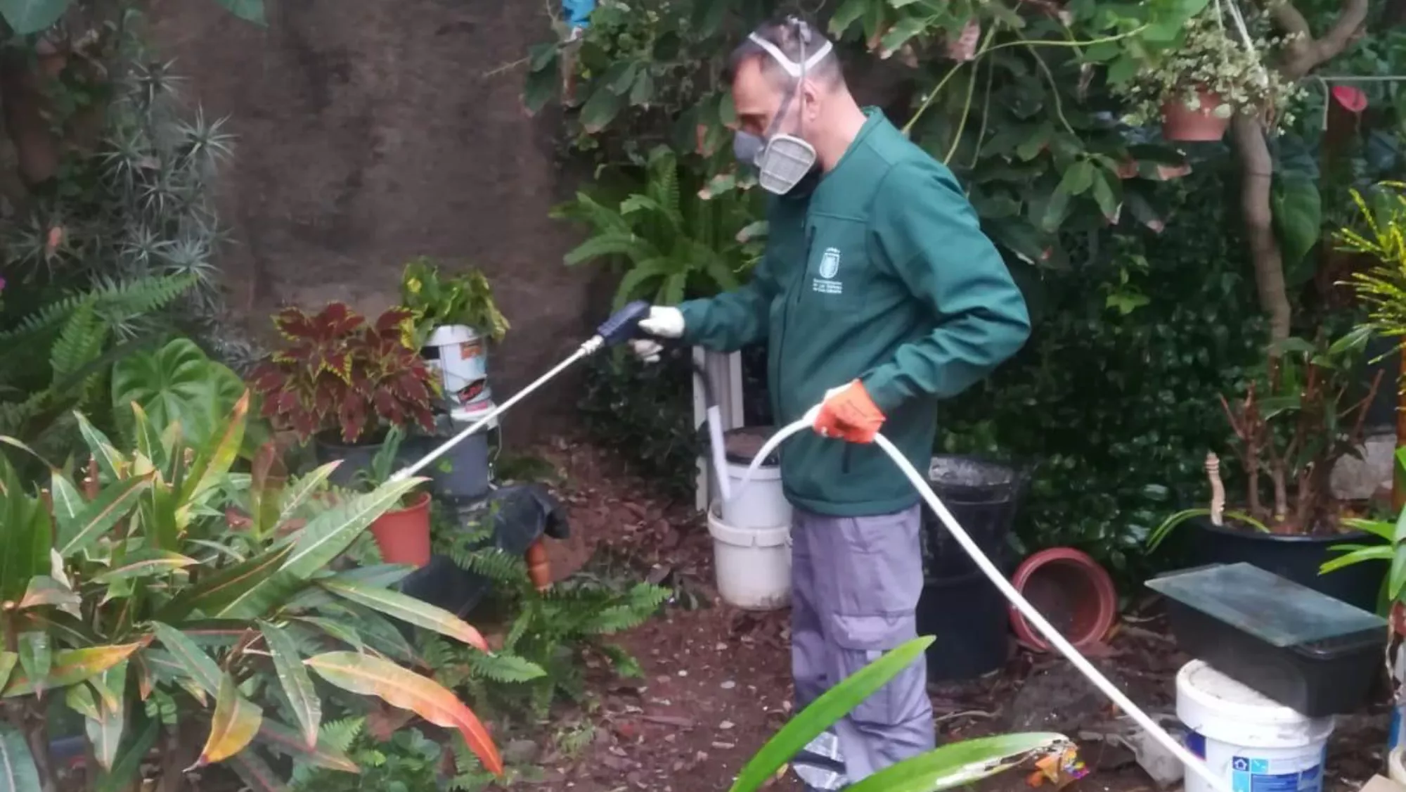 Un operario durante la actuación / AYUNTAMIENTO DE LAS PALMAS DE GRAN CANARIA