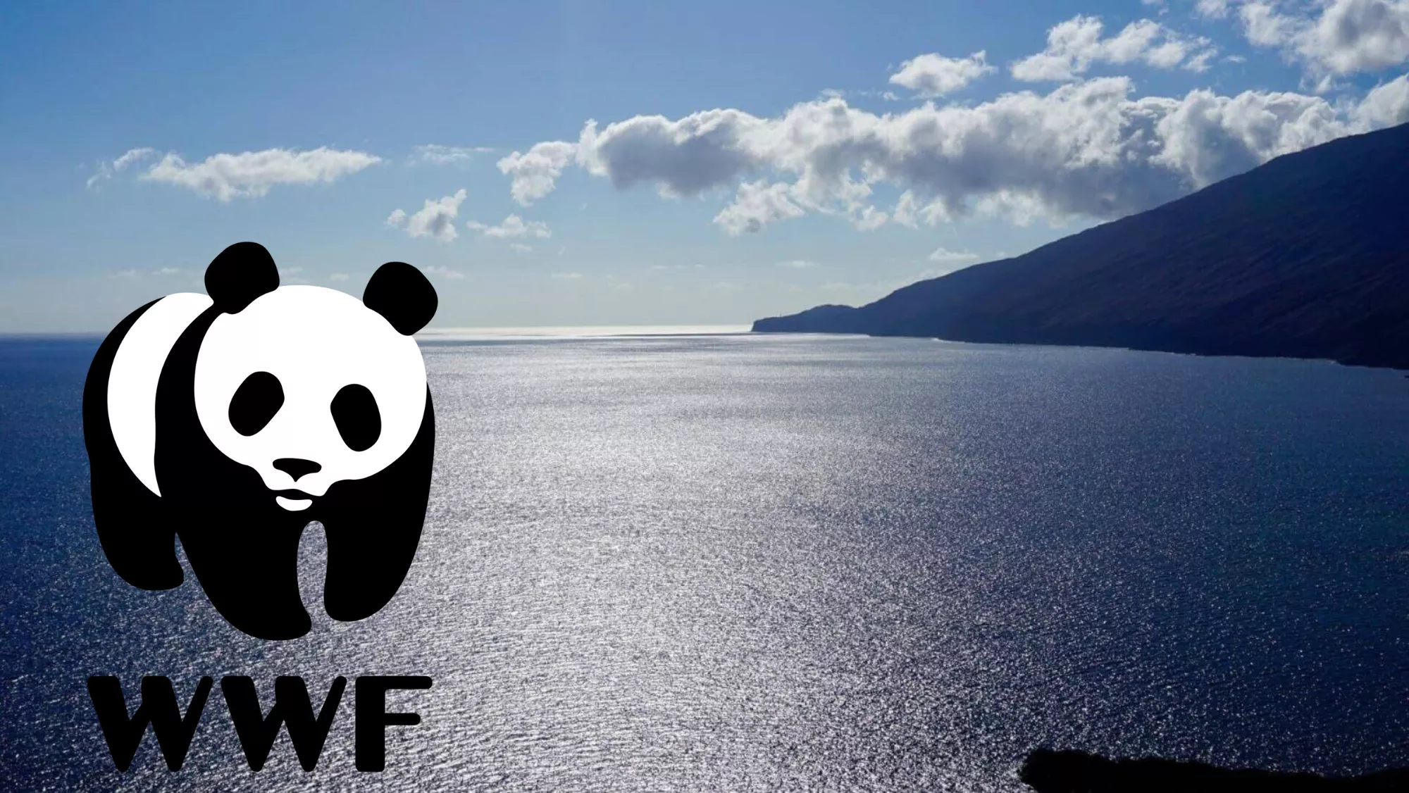 El Mar de las Calmas junto al logotipo de WWF./ MONTAHE AH El Mar de las Calmas junto al logotipo de WWF./ MONTAHE AH